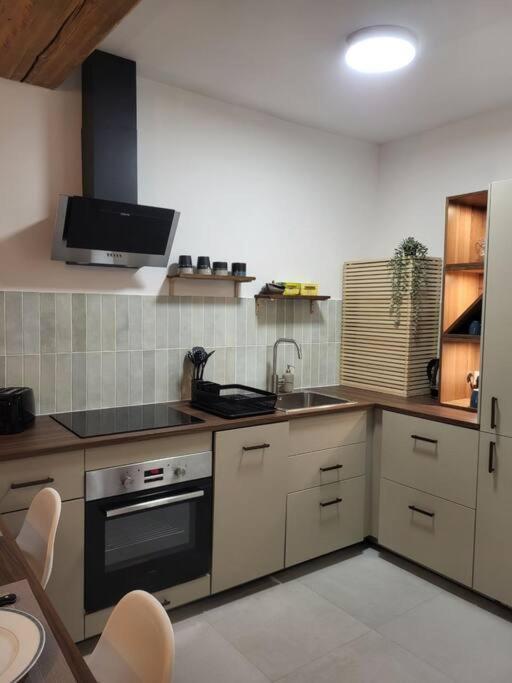 O Bon'Endroit - Appartement Confort - Centre Ville Vienne  Extérieur photo